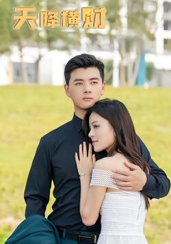 天降横财封面图