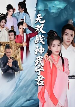 无双战神武宁君封面图