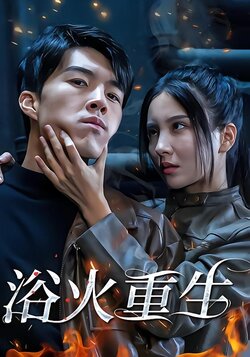 浴火重生封面图