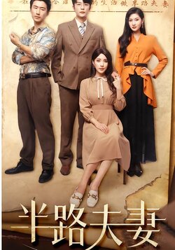 半路夫妻封面图