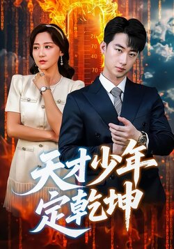天才少年定乾坤封面图