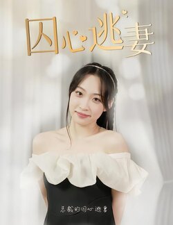 囚心逃妻封面图