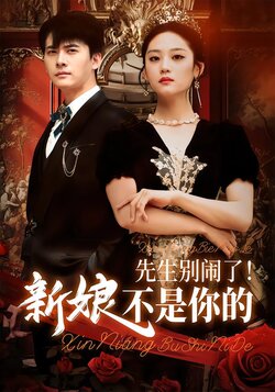 先生别闹了！新娘不是你的封面图