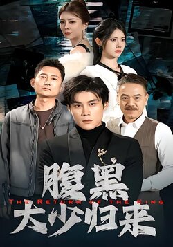 腹黑大少归来封面图