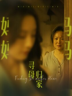 寻母归家封面图