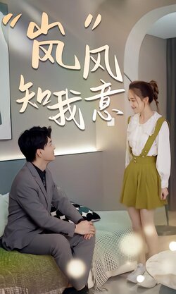 “岚”风知我意封面图