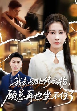 我去西北修文物，顾总再也坐不住了封面图