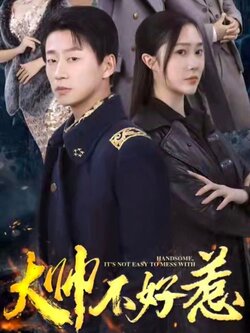大帅不好惹封面图