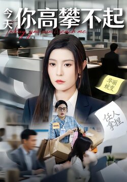 今天你高攀不起封面图