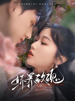 娇养玫瑰封面图