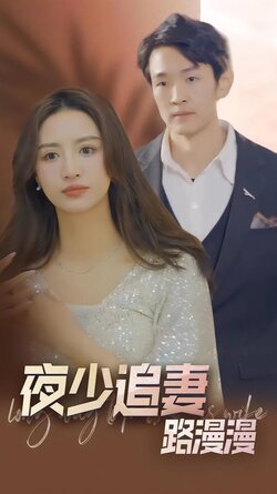夜少追妻路漫漫封面图