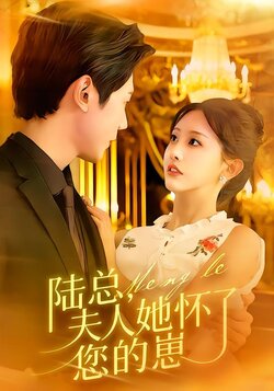 陆总，夫人她怀了您的崽封面图