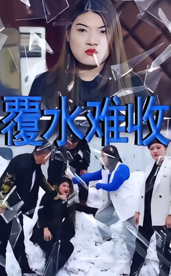 覆水难收封面图