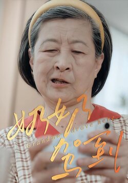 奶奶驾到封面图