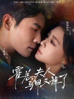 霍总，夫人马甲又掉了封面图