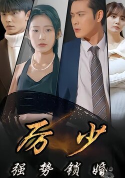 厉少强势锁婚封面图