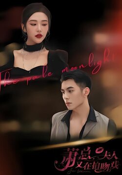 萧总，夫人又在拍吻戏封面图