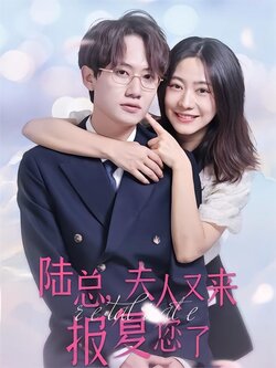 陆总，夫人又来报复您了封面图