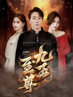 九五至尊封面图