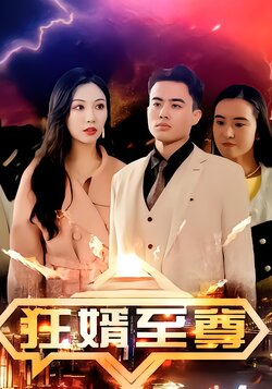 狂婿至尊封面图