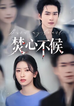 焚心不候封面图