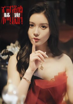 不可说的秘密封面图