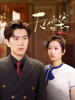 夫人又离家出走了封面图