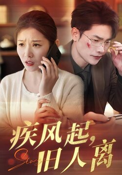 疾风起，旧人离封面图