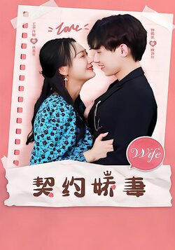 契约娇妻封面图