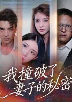 我撞破了妻子的秘密封面图