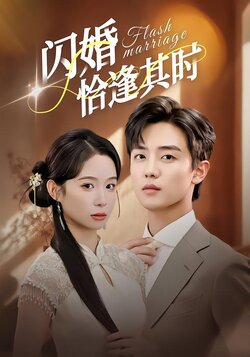 闪婚恰逢其时封面图
