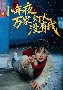 小年夜万家灯火没有我封面图