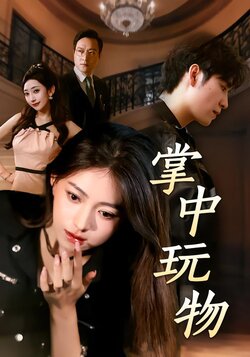 掌中玩物封面图