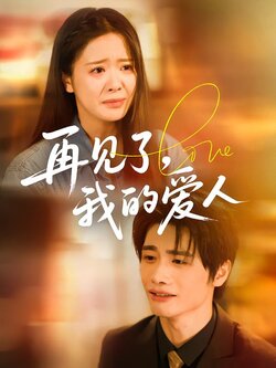 再见了，我的爱人封面图