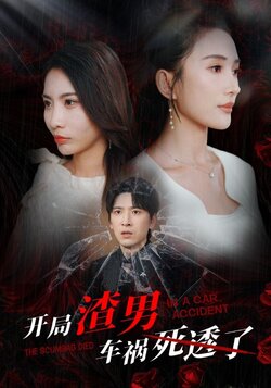 开局zha男车祸si透了封面图