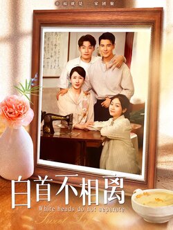 白首不相离封面图