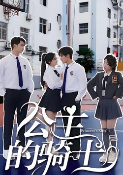 公主的骑士封面图