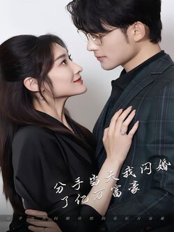 分手当天，我闪婚了亿万富豪封面图