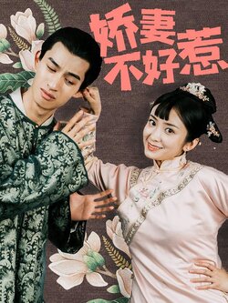 娇妻不好惹封面图