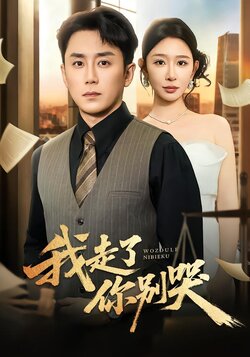 我走了你别哭封面图