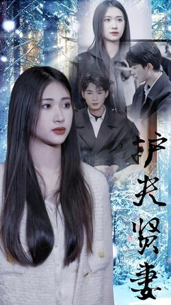 护夫贤妻封面图