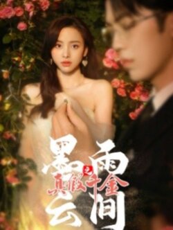 墨雨云间之真假千金封面图