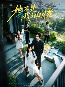 她不是我的白月光封面图
