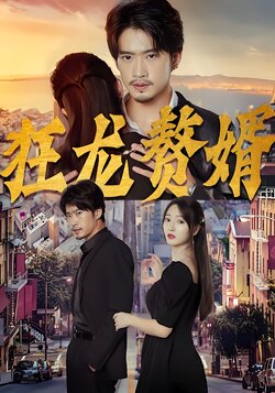 狂龙赘婿封面图