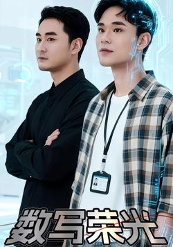 数写荣光封面图