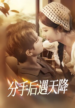 分手后遇天降封面图