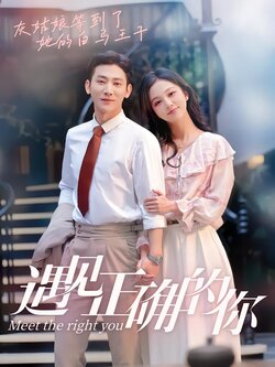 遇见正确的你封面图