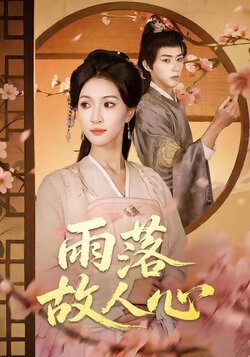 雨落故人心封面图