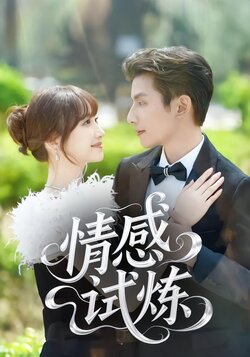 情感试炼封面图