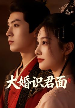 大婚识君面封面图